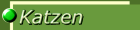 Katzen